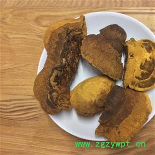 桑黄 野生灵芝菌 马蹄桑黄 正品保证质量7天无理由退货退款 华安堂图4