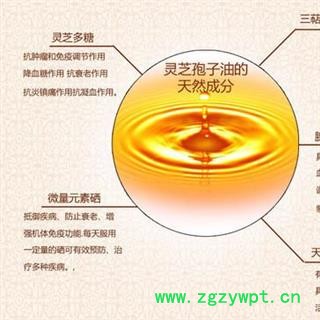 灵芝孢子油 灵芝炮子粉提取精华 一瓶70粒 正品保证质量7天无理由退货退款 华安堂图3