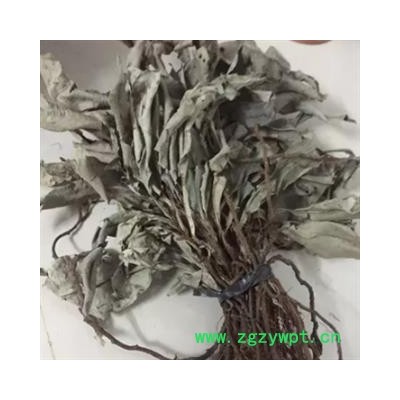 安祁名药优质野生卡琪花蒂玛 马来西亚纯天然野生