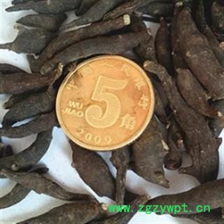 安祁名药正品两头尖 竹节香附图2