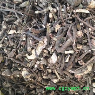 安祁名药中药材正品朱砂根 大罗伞图2