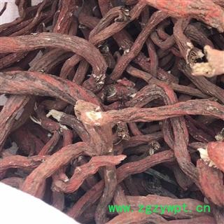 安祁名药丹参 丹参条图3