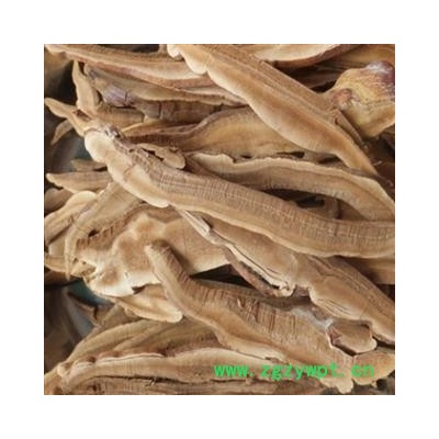 灵芝 灵芝片 选片 产地 山东省 产地直销 重在质量