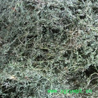 萹蓄 青统货 产地 四川省成都市双流县 库存 200公斤可售图3