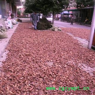 野蔷薇 统货 产地 四川省成都市双流县图4