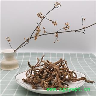 玉竹 统段 产地 四川省成都市都江堰市图2