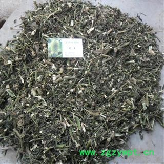 龙葵 川统 产地 四川省成都市双流县 库存 1000公斤可售图2