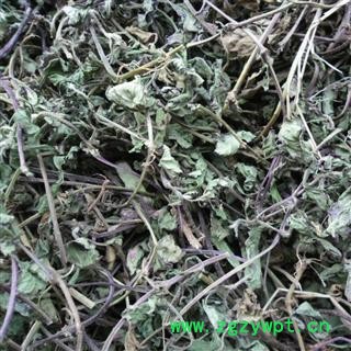 白毛夏古草，散血草，土龙胆草 青统货 产地 四川省成都市双流县 库存 500公斤可售图2