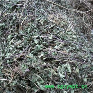 白毛夏古草，散血草，土龙胆草 青统货 产地 四川省成都市双流县 库存 500公斤可售图4