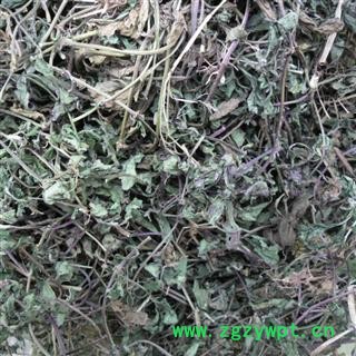 白毛夏古草，散血草，土龙胆草 青统货 产地 四川省成都市双流县 库存 500公斤可售图3