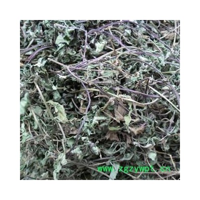 白毛夏古草，散血草，土龙胆草 青统货 产地 四川省成都市双流县 库存 500公斤可售