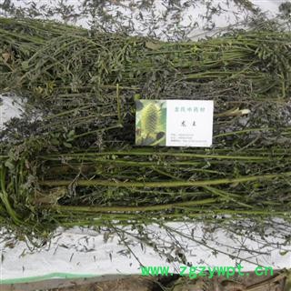 夜关门 统货 产地 四川省成都市双流县图4