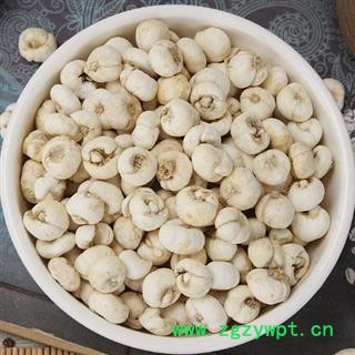 【新货精选】大贝母 浙贝手工挑选 日晒无硫500g【打折结束】图3