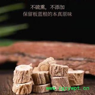 【新货】秦岭农家自种板蓝根 手工切片 精选大段日晒无硫500g图4