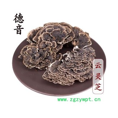 【满包邮】云灵芝 统