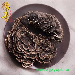 【满包邮】云灵芝 统图2