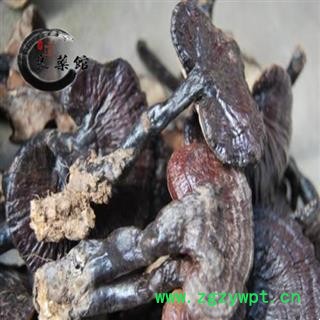 灵芝 野生紫芝 野生灵芝海南产 药典标准 地道良药馆1000克直销 品种齐全 一站购齐图2