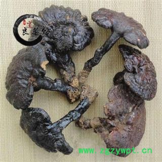 灵芝 野生紫芝 野生灵芝海南产 药典标准 地道良药馆1000克直销 品种齐全 一站购齐图3