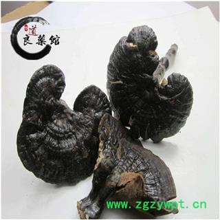 灵芝 野生紫芝 野生灵芝海南产 药典标准 地道良药馆1000克直销 品种齐全 一站购齐图4