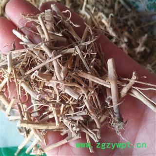 安祁名药正品白前 野生中药材白前 草白前 水杨柳 鹅白前 石蓝根图2