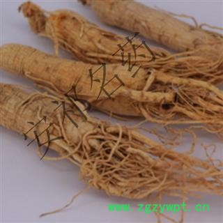 安祁名药人参 生晒参 品相好全参无断须 吉林省长白山图2