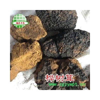 白桦茸 正品 桦树茸 1-2年生 白桦泪 桦树泪 桦树黄 桦树菇 桦褐孔菌  产地 黑龙江省