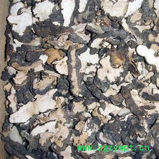 猪苓 0.2筛子以上统片 产地 陕西省咸阳市渭城区图2