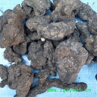 猪苓 0.2筛子以上统片 产地 陕西省咸阳市渭城区图3