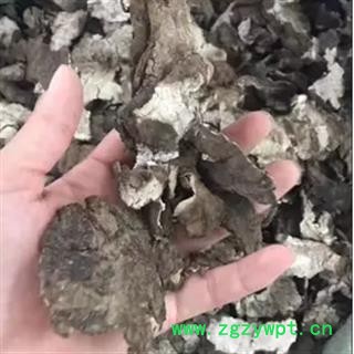 新辉药业云苓皮  茯苓皮  野生白茯苓表皮 新干货图2