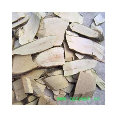 安祁名药正品毛冬青 毛冬青根