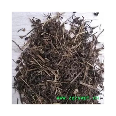 安祁名药正品双肾草 一根葱