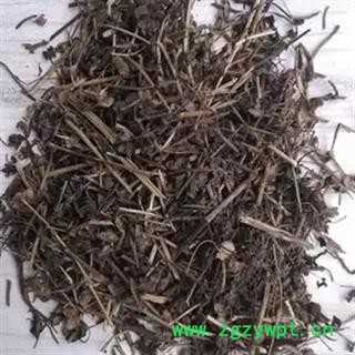 安祁名药正品双肾草 一根葱图2