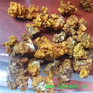 新辉药业优质云南金耳 黄木耳 野耳 脑耳图2