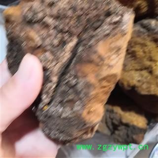 新辉药业东北白桦茸 黑龙江森林钻石 桦树茸图2