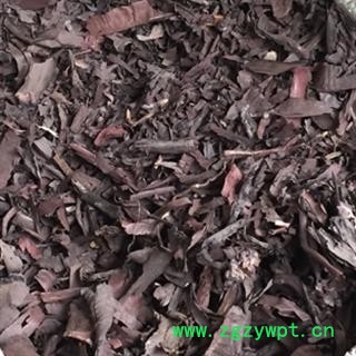 安祁名药优质紫草图2