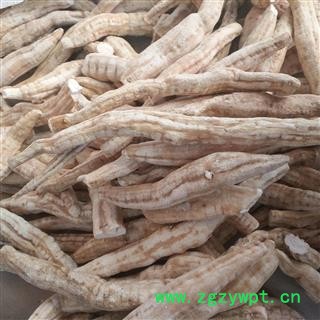 安祁名药精选天花粉 栝楼根图4