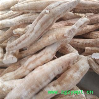 安祁名药精选天花粉 栝楼根图2