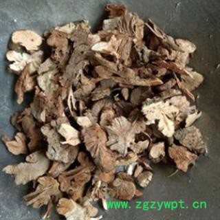 安祁名药金荞麦 开金锁 野荞麦图2