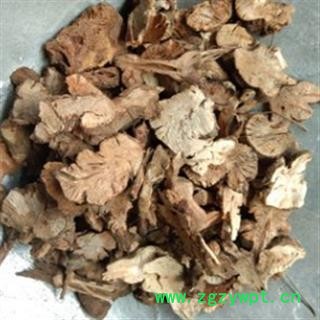 安祁名药金荞麦 开金锁 野荞麦图3