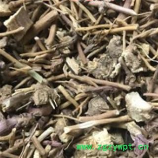 安祁名药正品白薇  芒草 春草 白马尾白幕图2