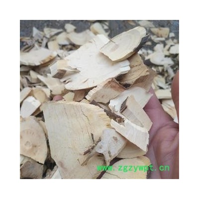 安祁名药白背叶根   白膜根