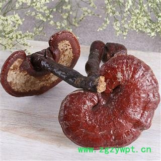 赤灵芝 净500克 实图拍照 正品保证质量7天无理由退货退款 安品堂图3