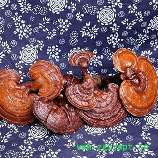 赤灵芝 净500克 实图拍照 正品保证质量7天无理由退货退款 安品堂图4