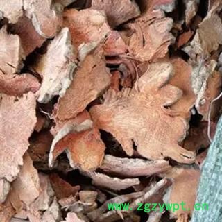 安祁名药正品金刚藤  菝葜　金刚头图2