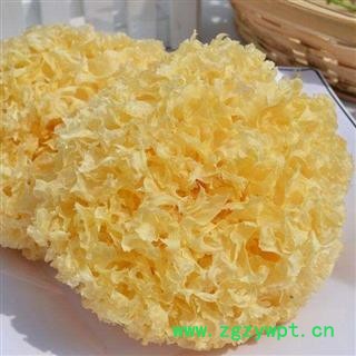 银耳选货正品保证质量7天无理由退货退款 中药材批发 丽丽药业图2