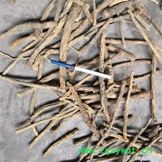 安祁名药防风 关防风图2