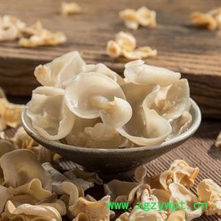 白玉耳 白玉木耳全干货正品保证质量 中药材批发 丽丽药业图2
