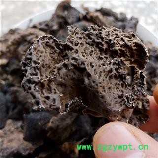 石耳 石木耳正品保证质量 中药材批发 安品堂图2