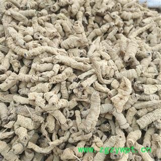 安祁名药正品巴戟天 优质巴戟肉图3