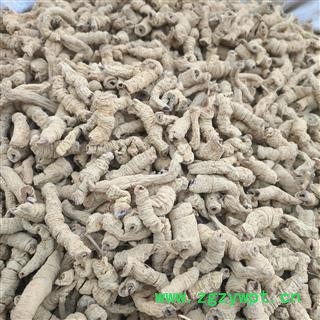 安祁名药正品巴戟天 优质巴戟肉图4